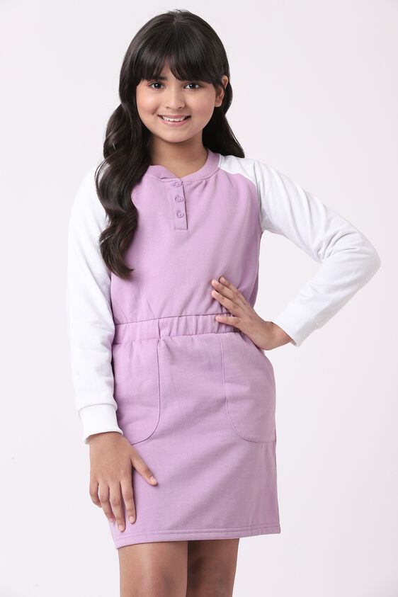 Purple Colour blocked Straight Dress, Purple, image 1